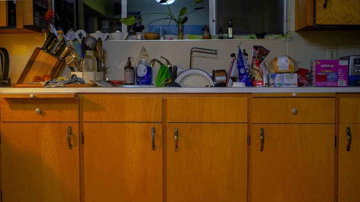 Cafards en cuisine : agir vite avant l'infestation