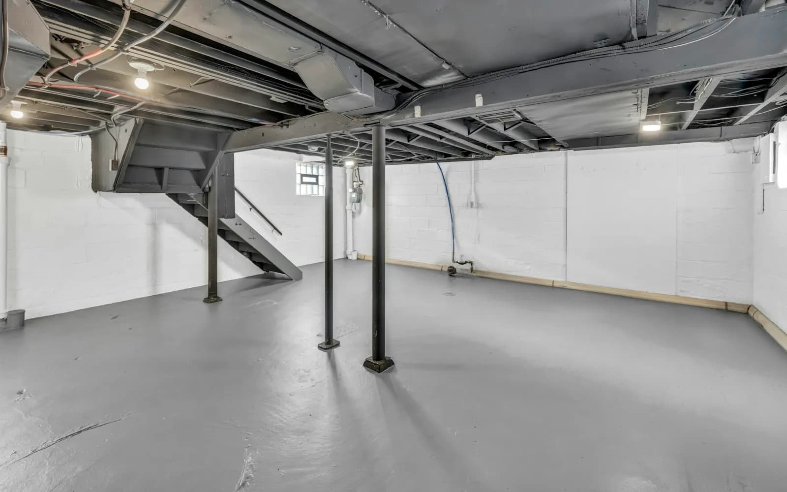 Dératisation professionnelle
